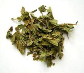 Léčba ducha